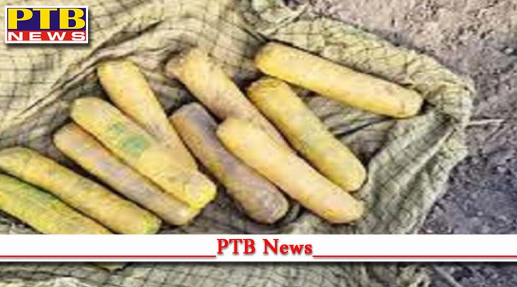 Punjab large attack averted in punjab police recovered 2 kg rdx