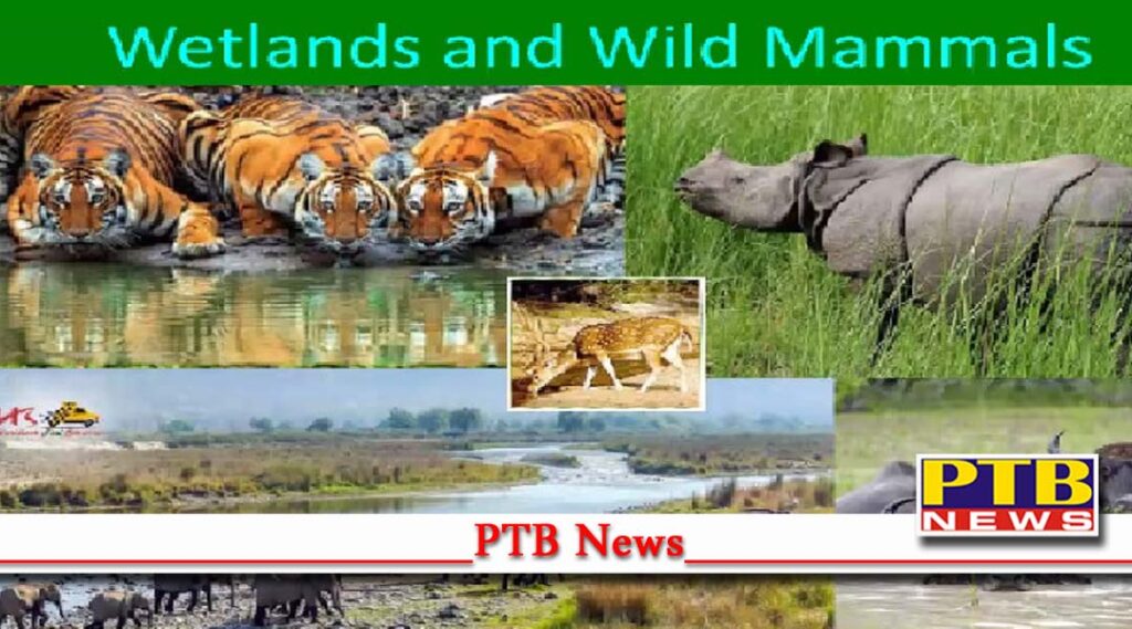 Webinar organized on World Watershed Day in Science City Kapurthala Jalandhar