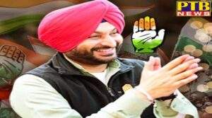 Big statement of Congress party leader said donkeys should not be given command in Punjab Sidhu also took a comment