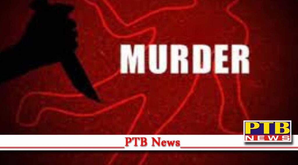 brutal murder in jalandhar daughter kills 85 year old mother in phillaur