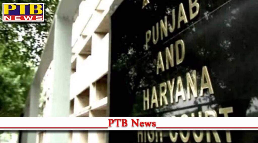 punjab haryana high court made clear accusing spouse illicit relationship without any proof cruelty