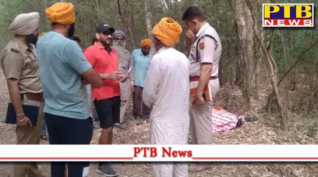kapurthala dead body youth found in forest in kapurthala Punjab