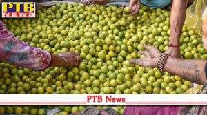 kapurthala modern jail superintendent suspended after bought expensive lemons for prisoners PTB Big News