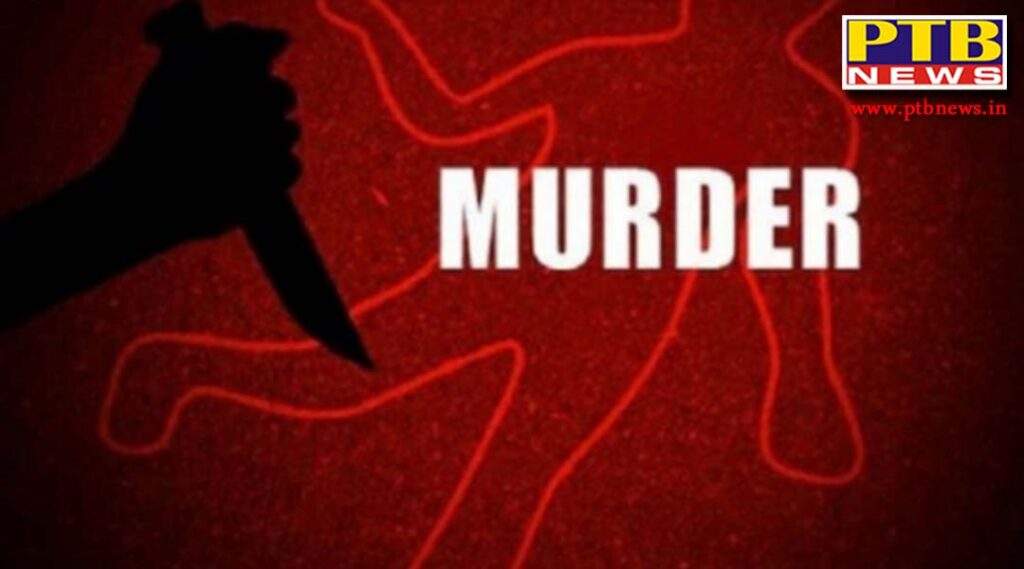 brother kills sister due to domestic dispute