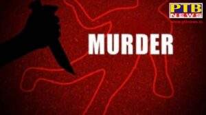 brother kills sister due to domestic dispute