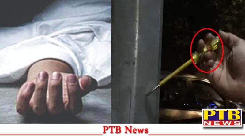 municipal corporation Jalandhar negligence young boy dead crossing railing street light pole caught current died spot