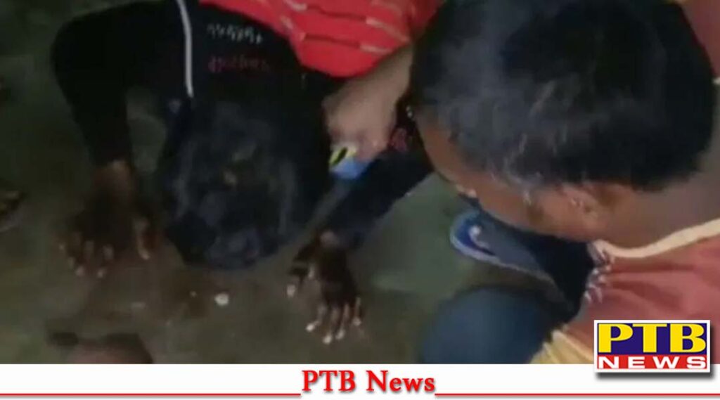 bihar begusarai news young man was spit charges theft trying put acid pivot part PTB Big Breaking News bihar