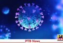 corona knocked bihar well 4 people abroad got corona positive PTB Big News Coronavirus PTB Big Breaking News