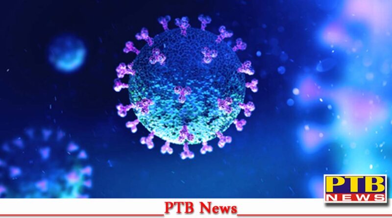 corona knocked bihar well 4 people abroad got corona positive PTB Big News Coronavirus PTB Big Breaking News