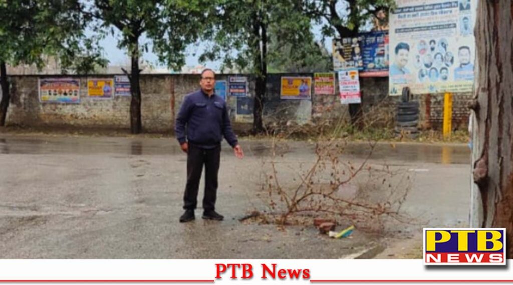 Parveen Pehlwan ward number 7 are serving the ward with passion will they get fruits like this former councillor Som Dutt Sharma Congress Party