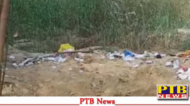Big News delhi 54 year old woman murdered body buried cemetery police arrested three accused PTB Big News Breaking