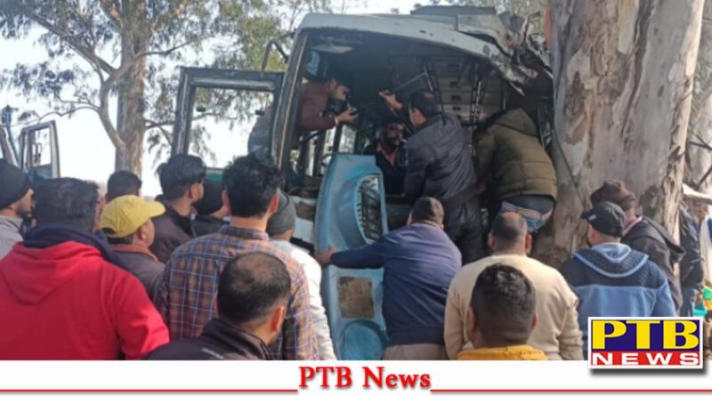 hoshiarpur news uncontrollable mini bus collided with tree seven people seriously injured Big Accident News