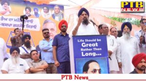 SAD-BSP fighting for the honor of Punjabis: Sardar Bikram Singh Majithia punjab loksbha byelection Jalandhar