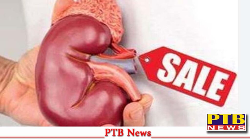 punjab crime big revelation punjab kidney case given ludhiana residents posing fake son Big News Breaking News
