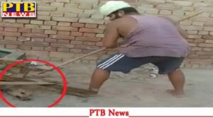 punjab muktsar dog beaten stick kill Big Sad News