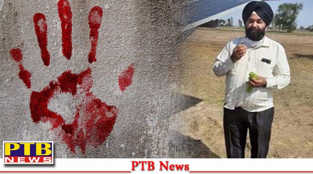 punjab news big incident brutally murdered doctor by entering the house Punjab