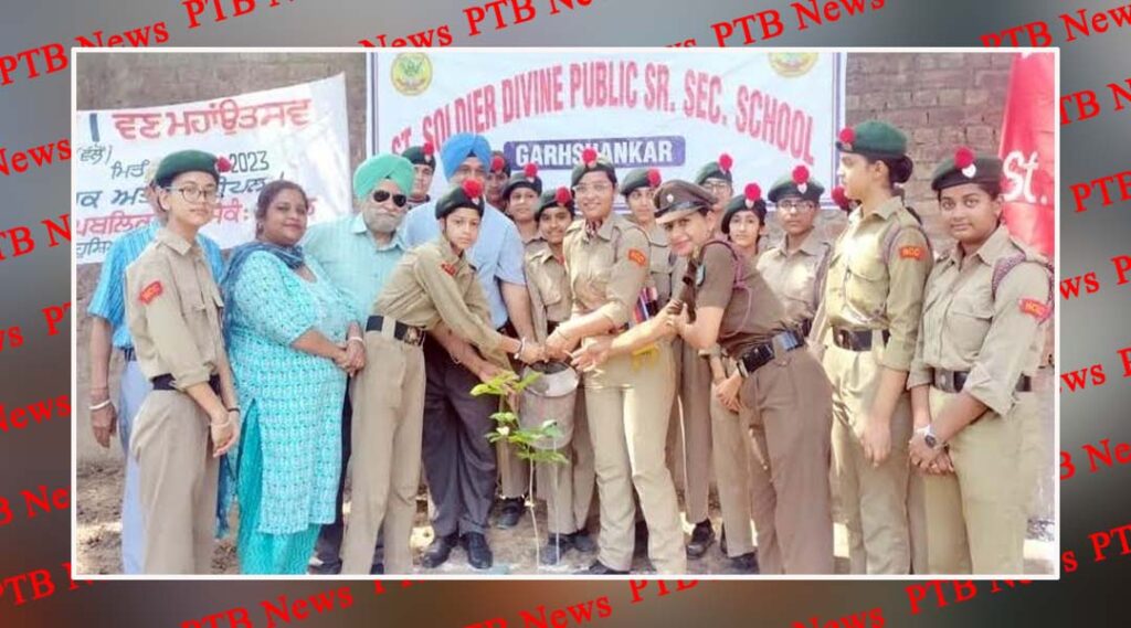 Plantation Drive by St Soldier