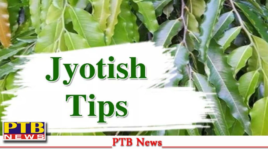 regularly-feeding-first-roti-cow-has-given-benefits-happiness-prosperity-also-remains-dharmik-news