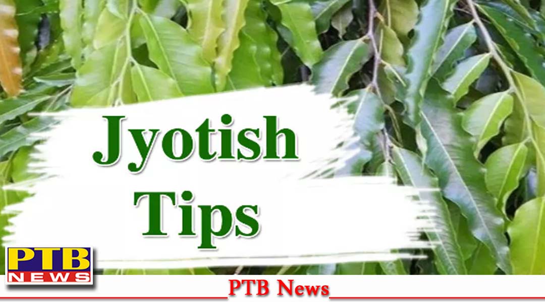 नियमित रूप से यह काम करने से घर में आती है सुख-समृद्धि,