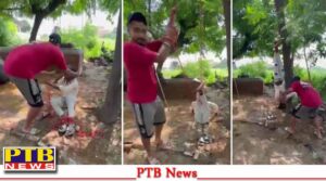 jalandhar phillaur panchayat member manveer thrashed minor farm laborer hanging upside down tree video viral
