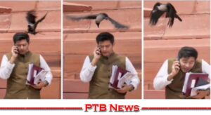 the-crow-beaked-head-of-the-aam-aadmi-party-mp-raghav-chadha-bjp-party-said-the-crow-bitten-the-lie-had-only-heard-till-now-and-video-viral-trolled