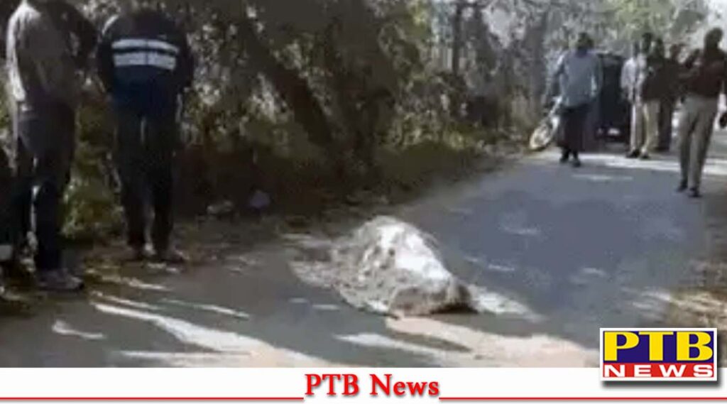 punjab-amritsar-rural-police-asi-sarup-singh-shot-dead-by-shooters-big-news