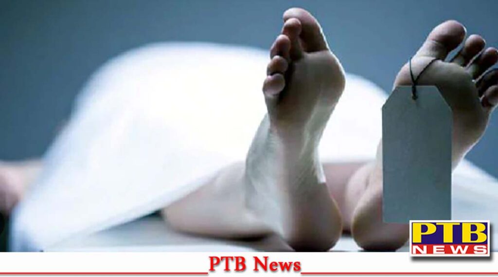 jalandhar-father-son-die-due-poisonous-smoke-big-news