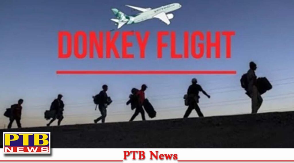 punjab-amritsar-nicaragua-donkey-flight-two-fir-amritsar-rural-punjabi-victims-statement-travel-agent-immigration-agent-donkey-route