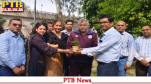 tree-plantation-done-in-the-premises-of-dav-institute-of-physiotherapy-and-rehabilitation-of-institute-jalanadhar