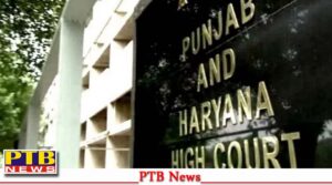 high-court-reprimanded-punjab-dgp-over-figures-of-issuance-of-34768-arms-licenses-from-2019-to-2023
