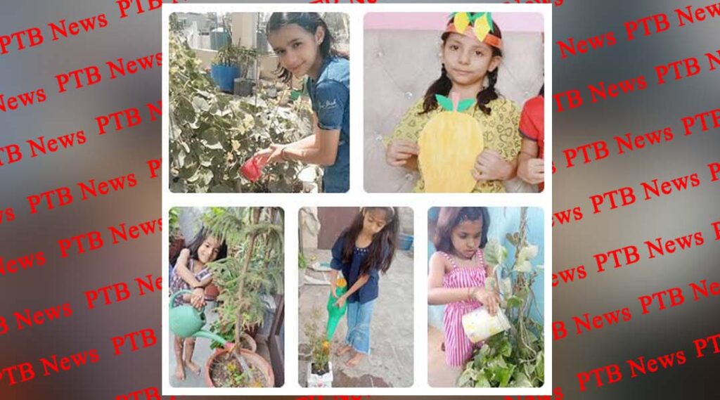 various-branches-of-st-soldier-schools-organized-tree-plantation-and-save-tree-activity