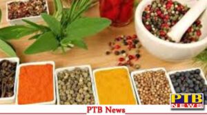 the-world-market-scared-indian-spices-business-worth-45-thousand-crores-is-at-stake