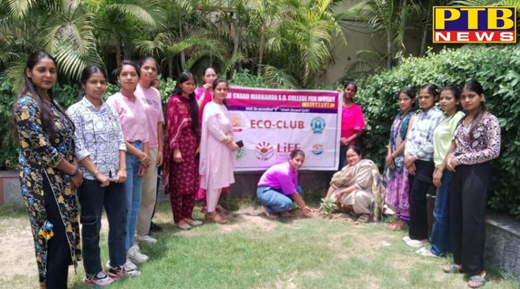 tree-plantation-programme-organised-by-eco-club-of-pcm-sd-college-for-women-jalandhar