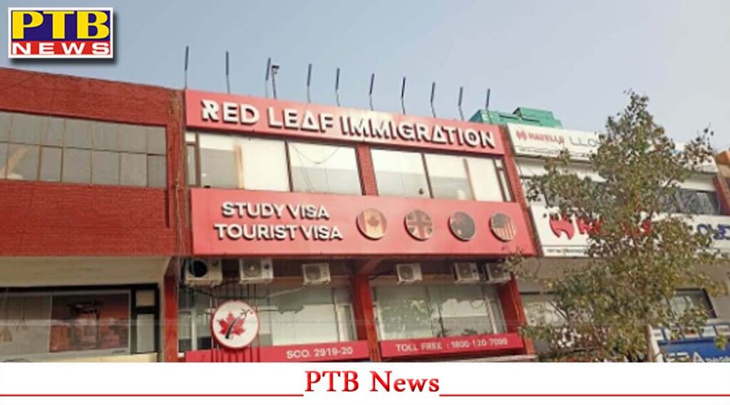 jalandhar-ed-raid-red-leaf-immigration-private-limited-chandigarh-and-ludhiana-19-lakh-cash-and-devices-seized