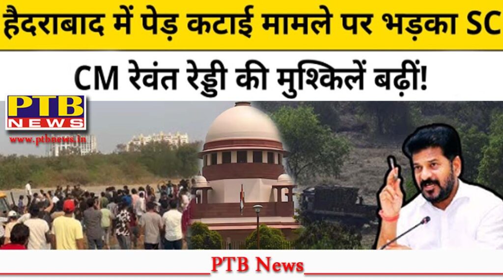 supreme-court-strict-in-the-matter-of-hyderabad-forest-cutting-case-trees-hyderabad-asked-reddy-government-what-was-the-hurry