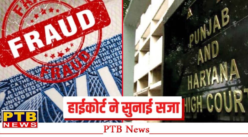punjab-mohali-immigration-fraud-case-old-woman-convicted-punjab-and-haryana-high-court-bathinda-big-news