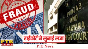 punjab-mohali-immigration-fraud-case-old-woman-convicted-punjab-and-haryana-high-court-bathinda-big-news
