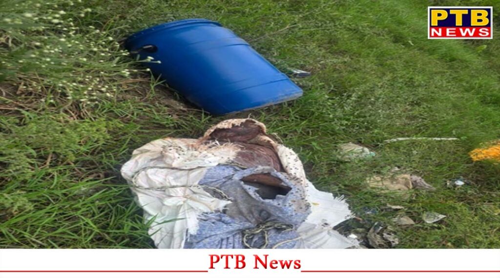 dead-body-found-in-a-blue-drum-in-ludhiana