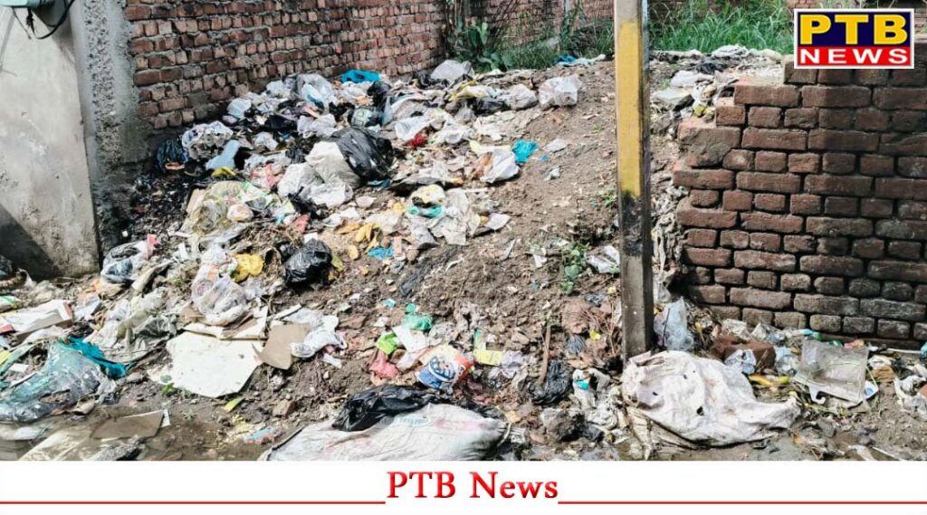 campaign-to-remove-garbage-heaps-from-empty-plots-continues-more-than-300-notices-issued-jalandhar