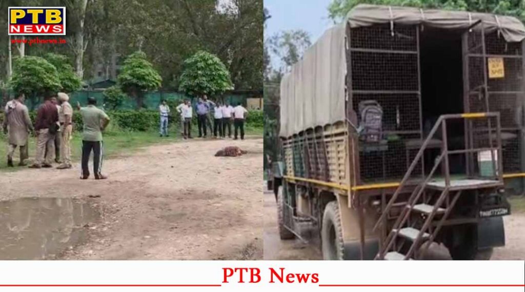 jalandhar cantt army truck crushes 5th Class student