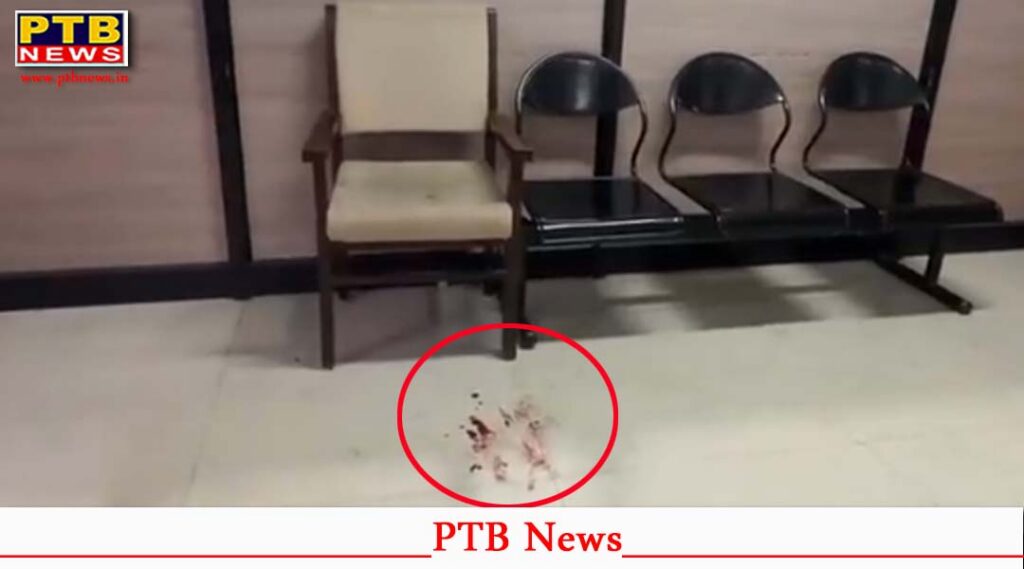 Gunshot fired in bathinda tehsil Punjab