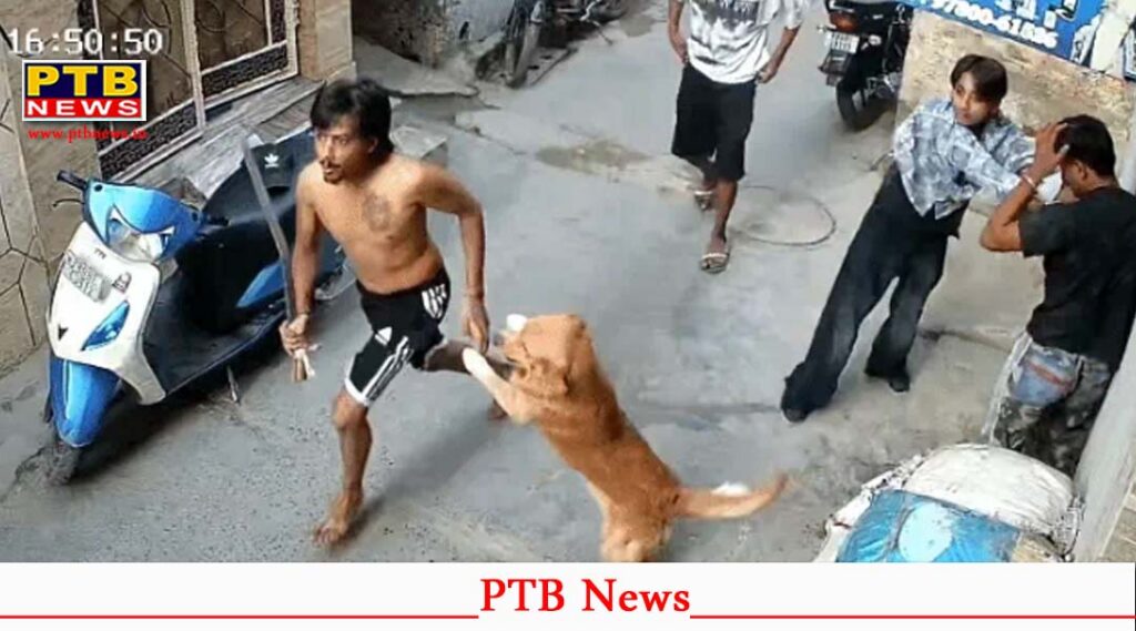 jalandhar gadha youth attack kirpan loyal dog saves life cctv viral