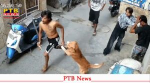jalandhar gadha youth attack kirpan loyal dog saves life cctv viral
